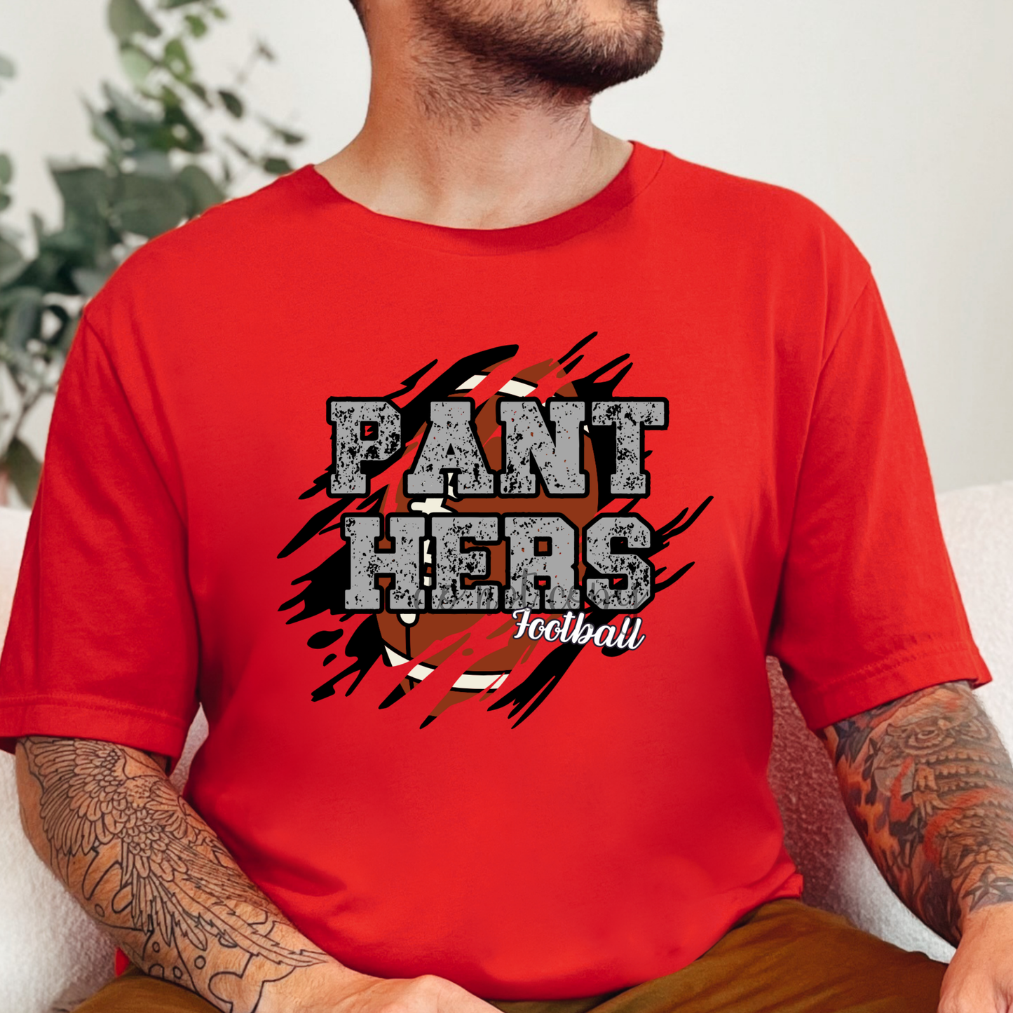 Panthers Football PNG