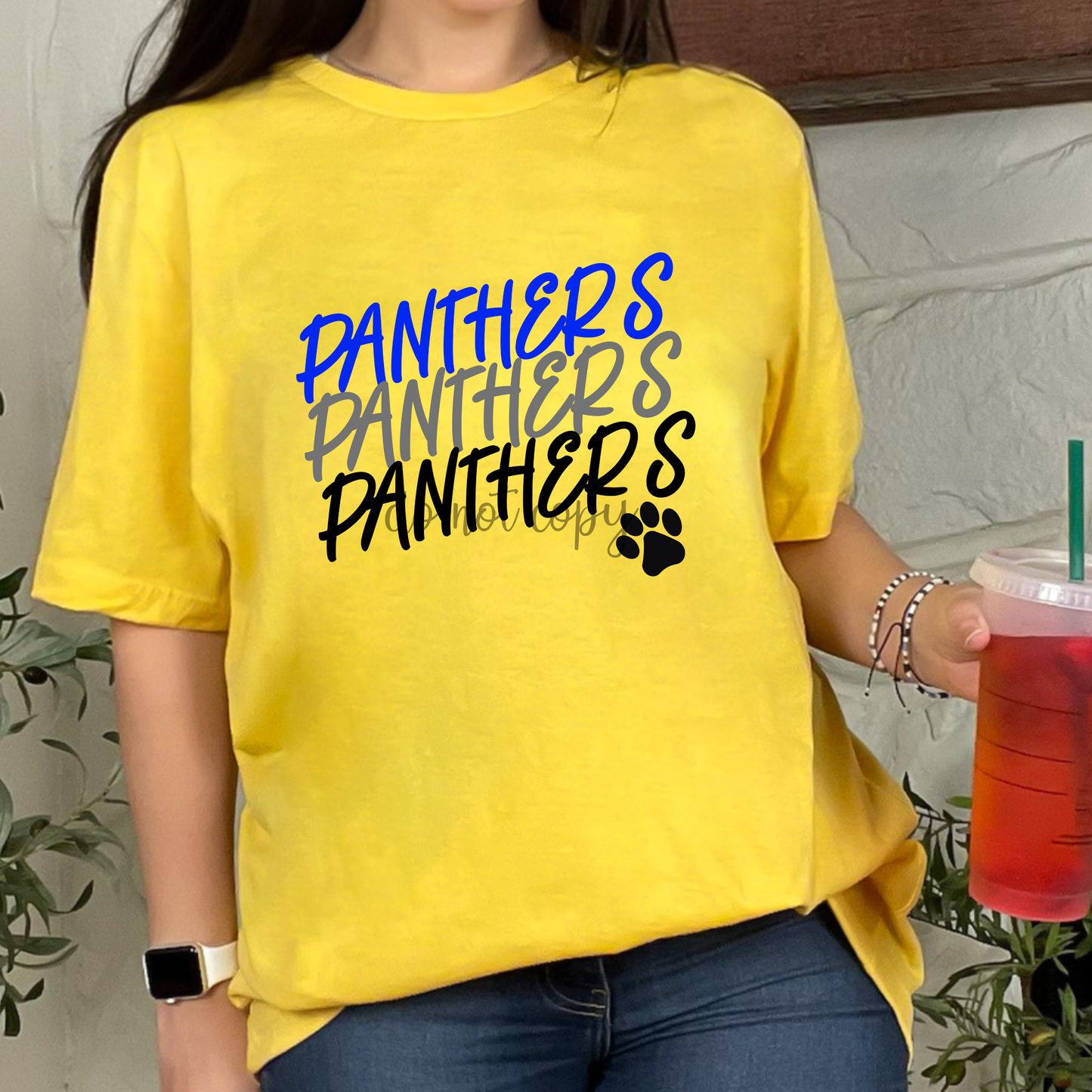 Panthers X 3 PNG