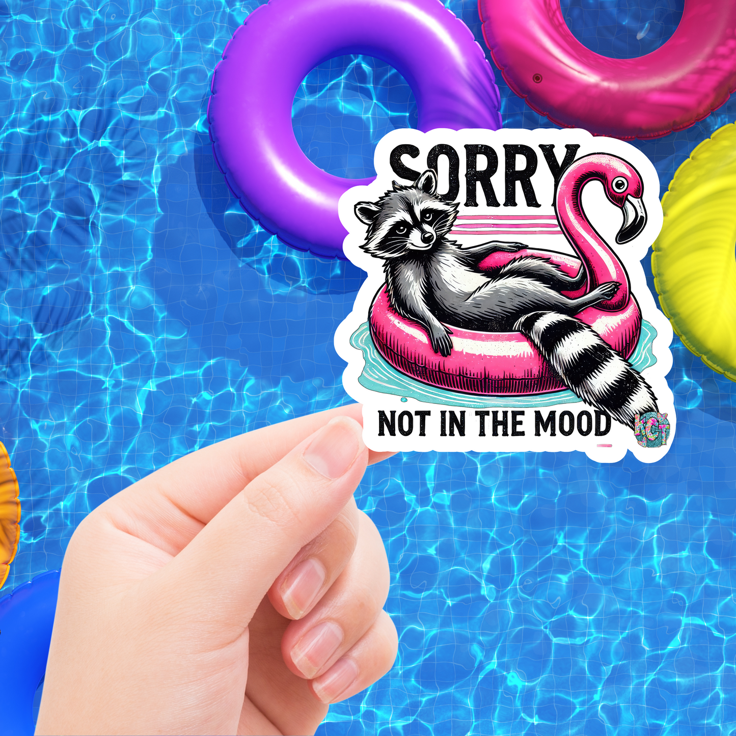 Sorry Not In The Mood DC