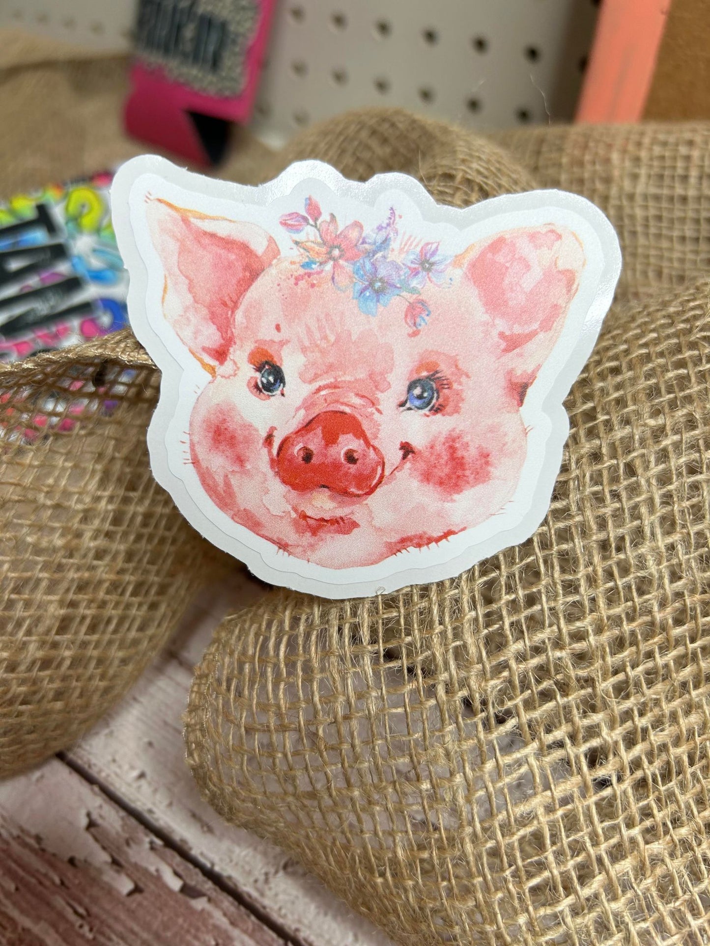 A36 Pastel Pig DC