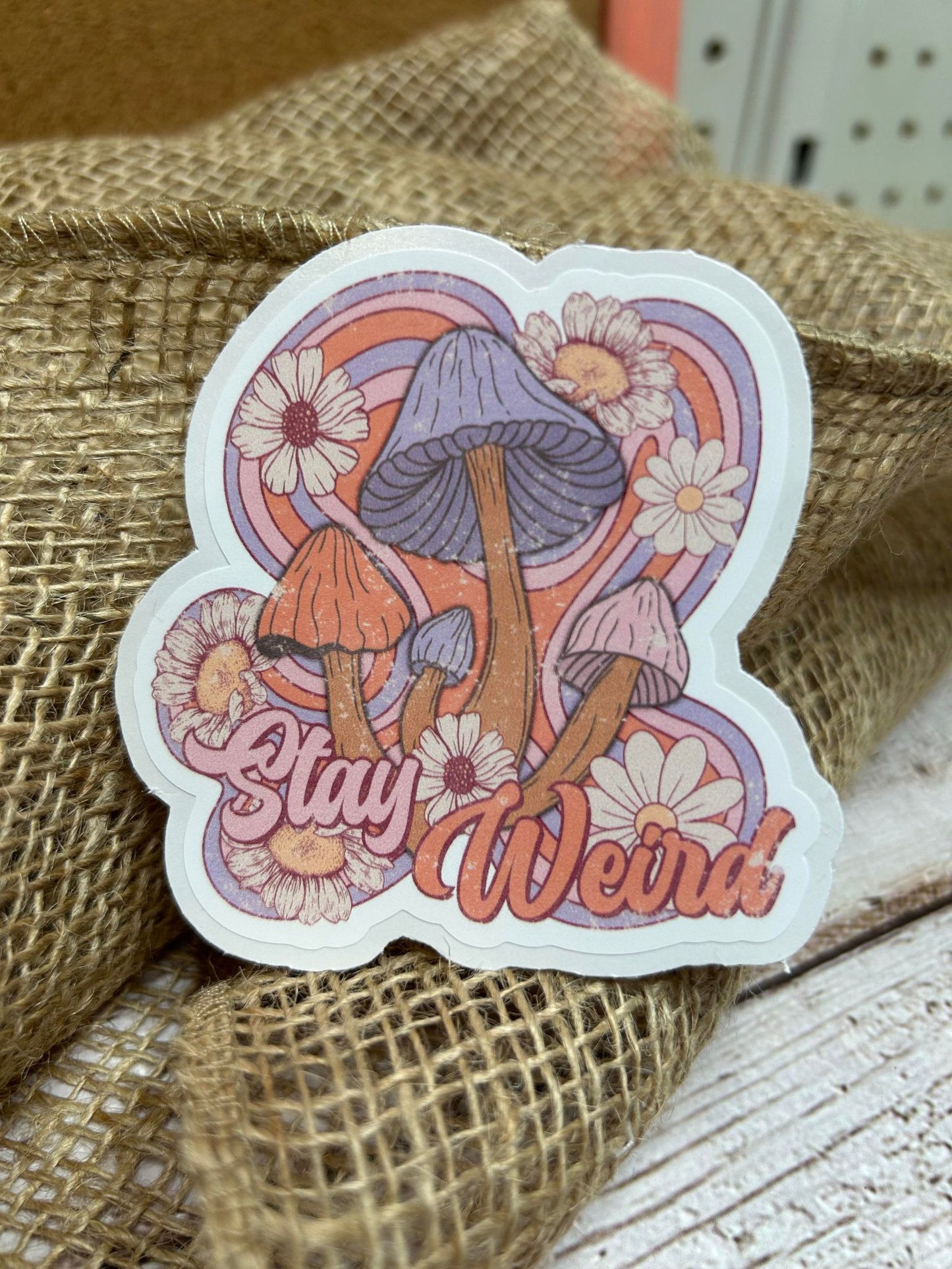 B32 Stay Weird Mushrooms DC