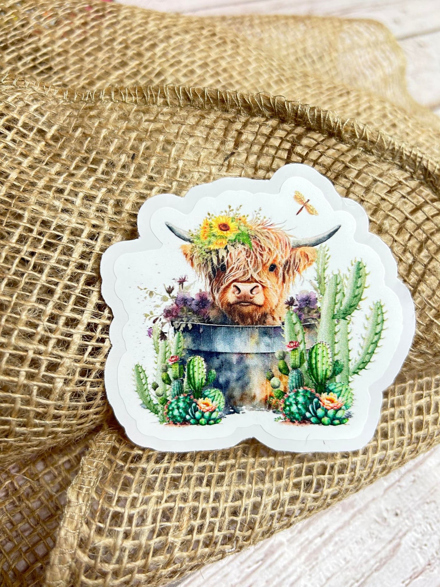 A35 Highland Cow in Bucket DC