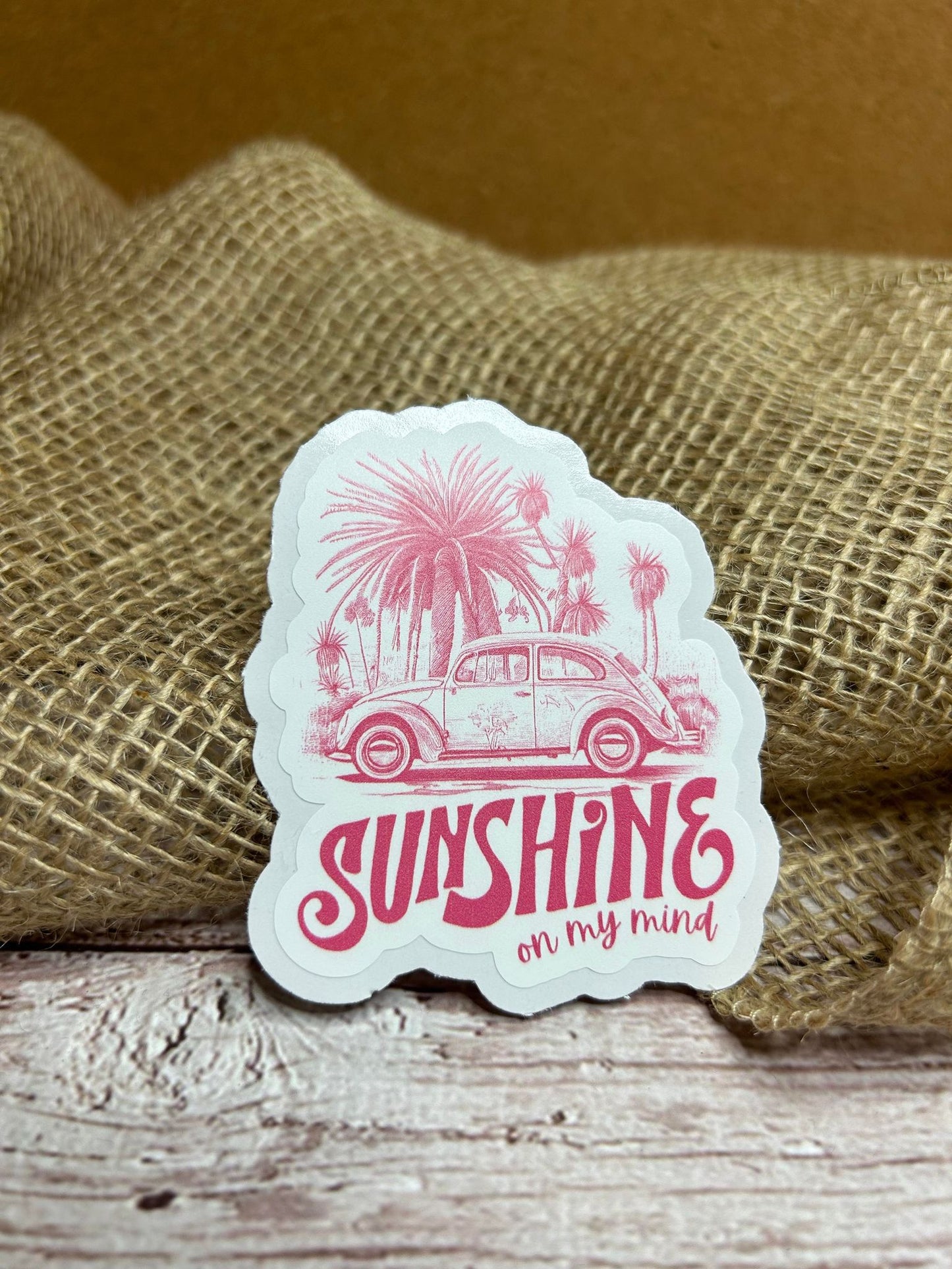 Sunshine On My Mind Car Pink DC