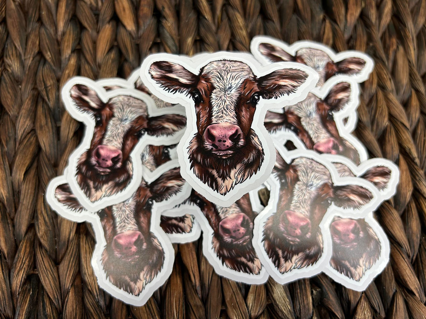 A38 Cow DC