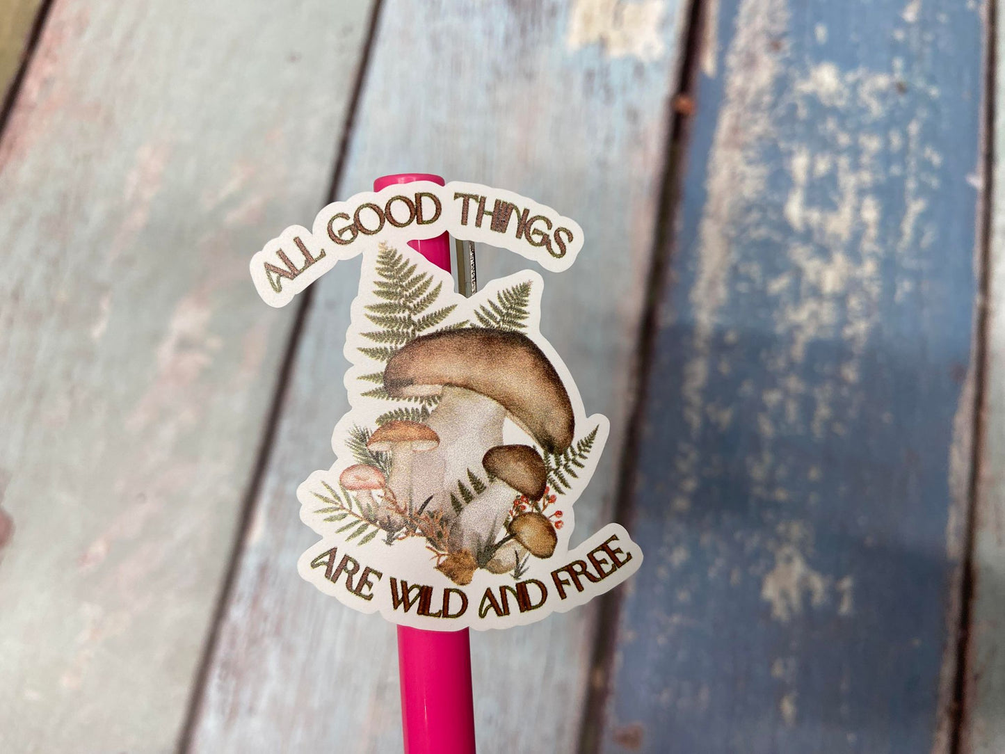 All good things are wild and free Mushrooms