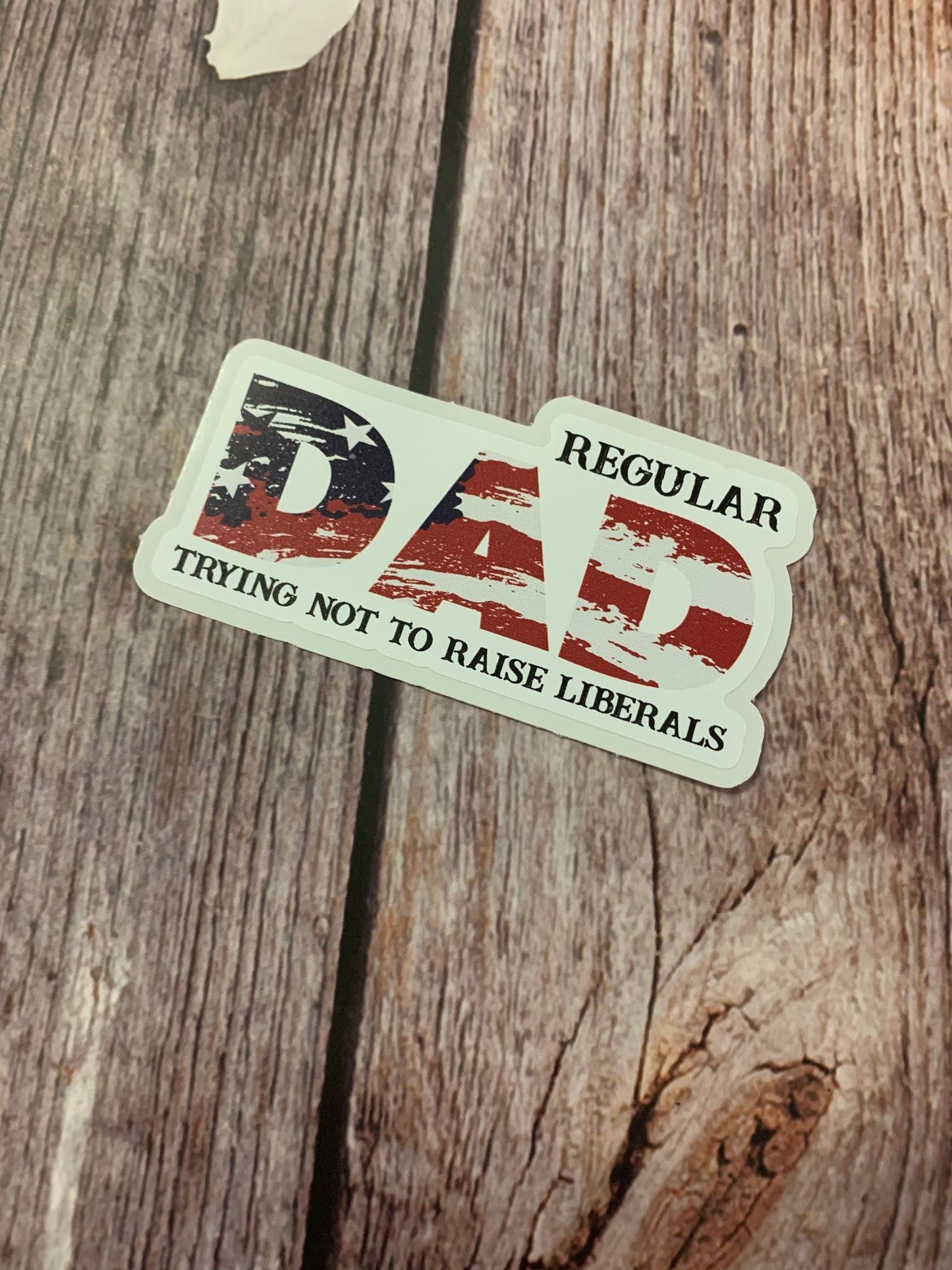MN07 Regular Dad trying not to raise Liberals DC
