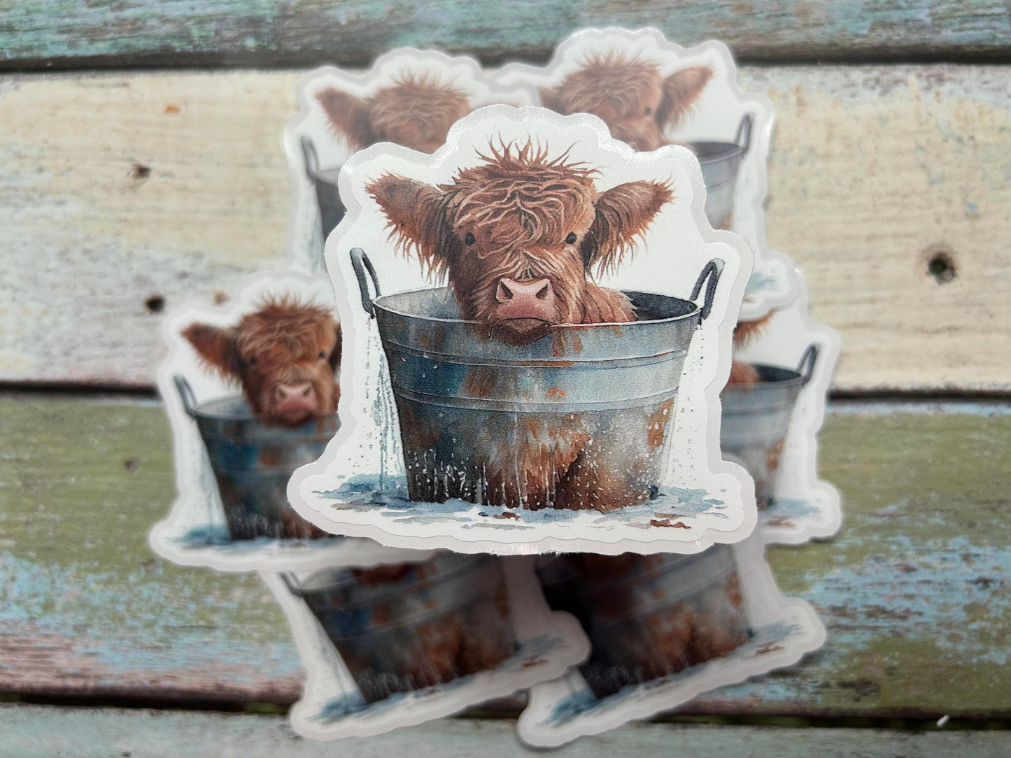 A23 Highland cow in tub DC