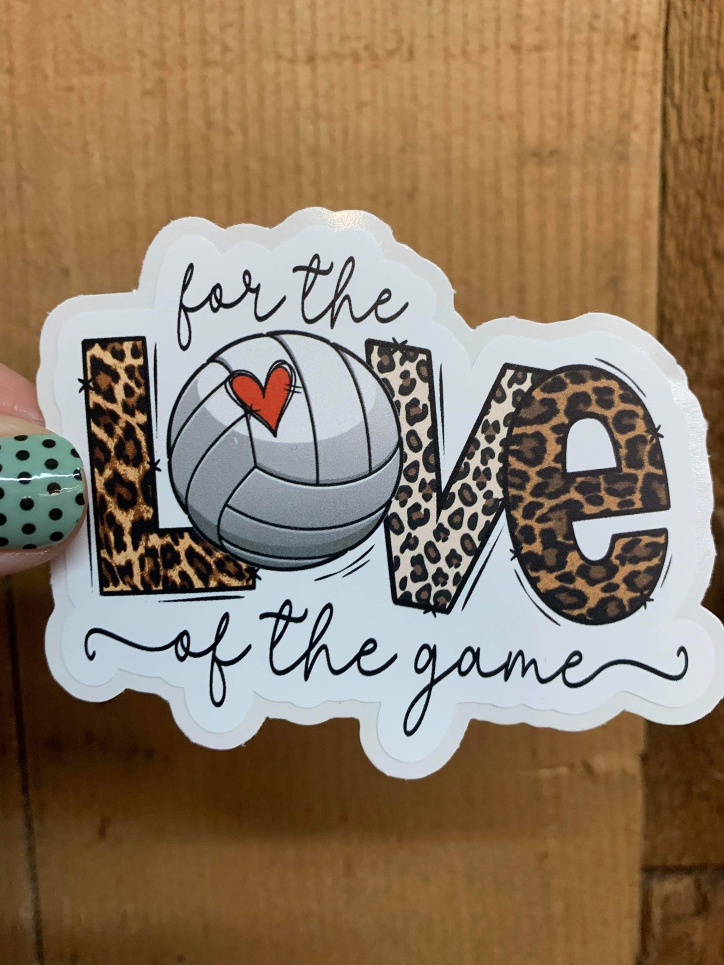 SP08 For The Love of The Game, Volleyball DC