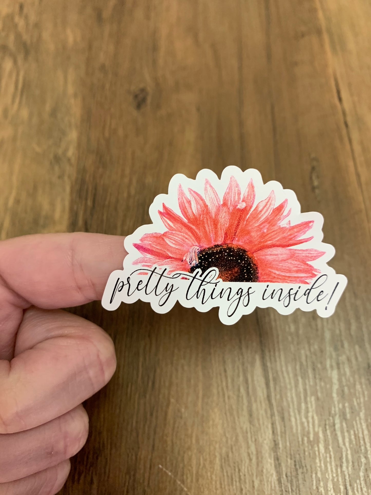 Pretty Things Inside 100CT