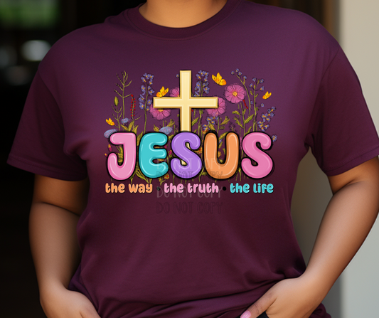 Jesus the way, the truth, the life Dtf