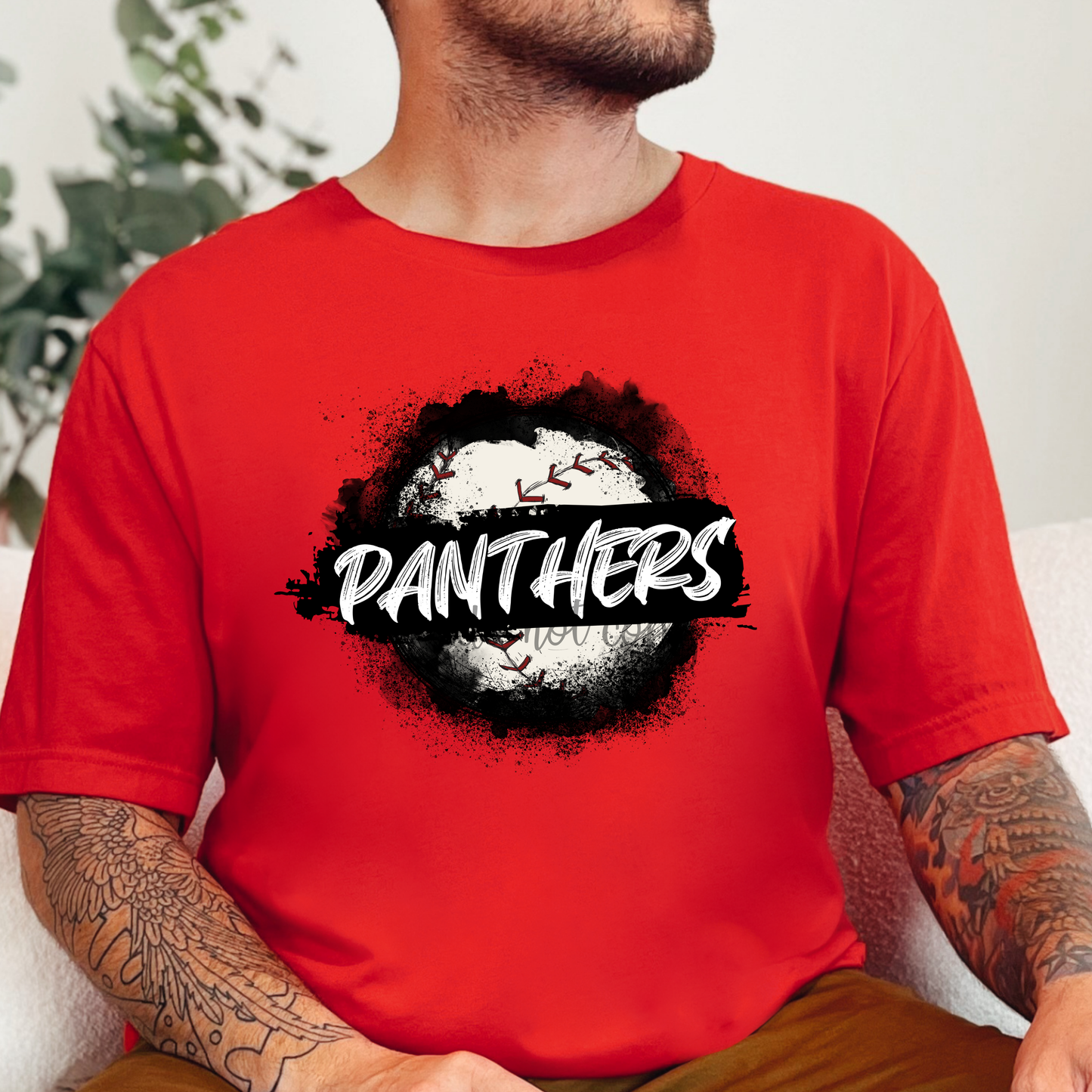 Panthers Baseball watercolor PNG