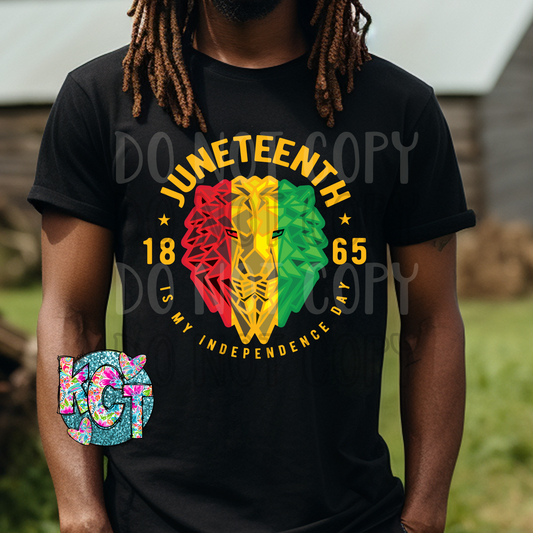 Juneteenth Lion Gold Letters DTF