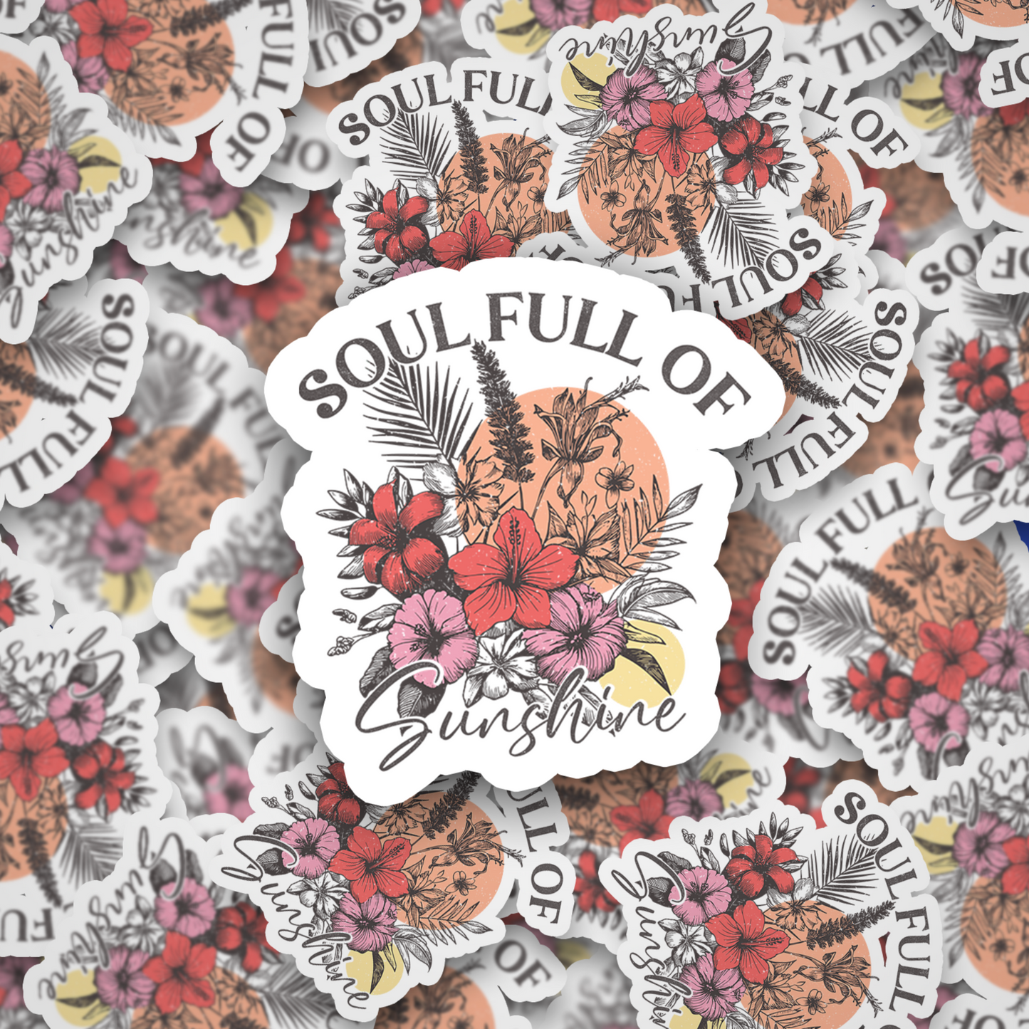 Soul Full of Sunshine DC