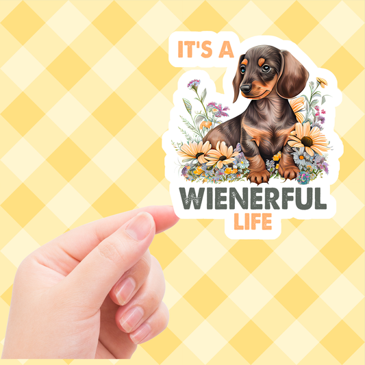 Weinerful life dc