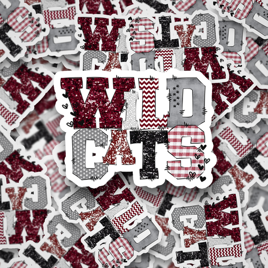Wildcats Doodle DC