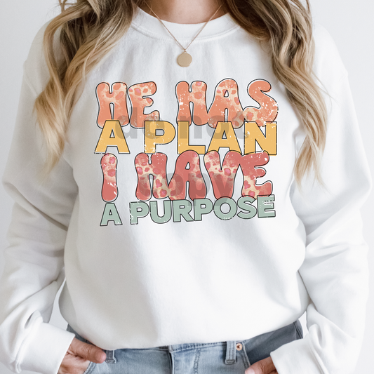 He has a plan, I have a purpose  DTF