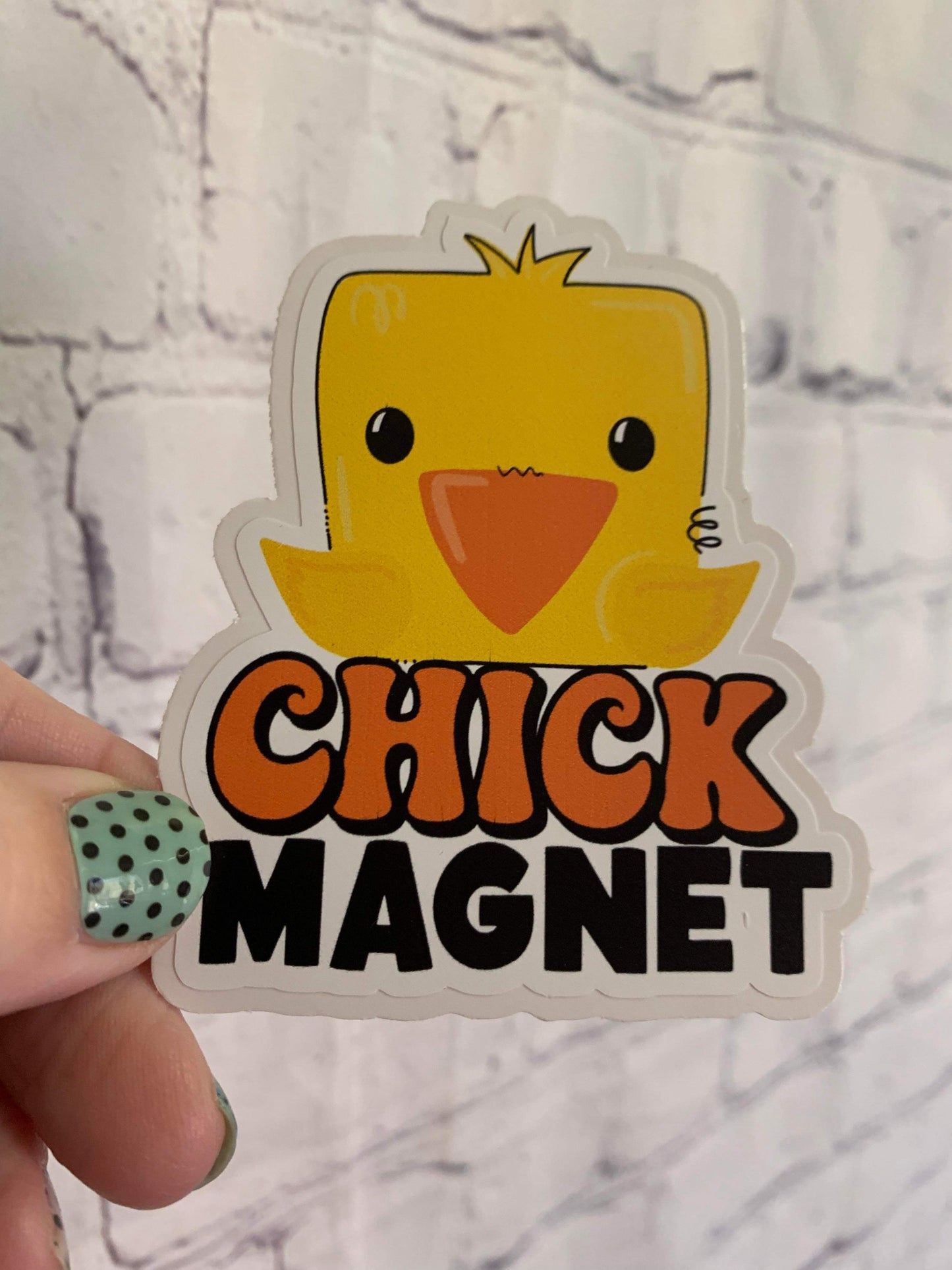 Chick Magnet  DC