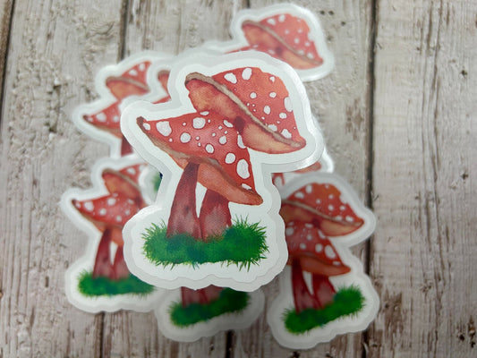 B29 Mushroom DC